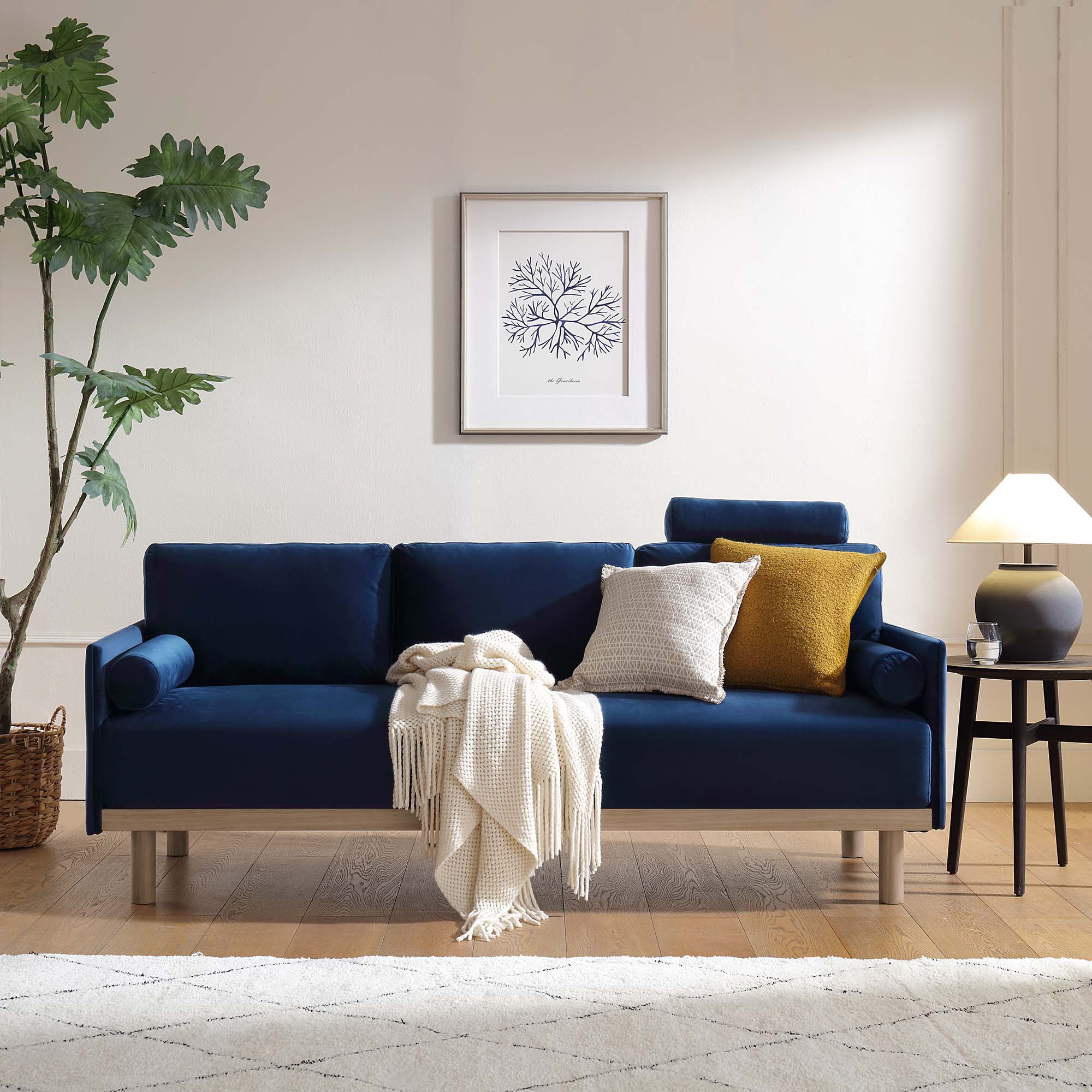 Timber Navy Blue Velvet Sofa, 3-Seater