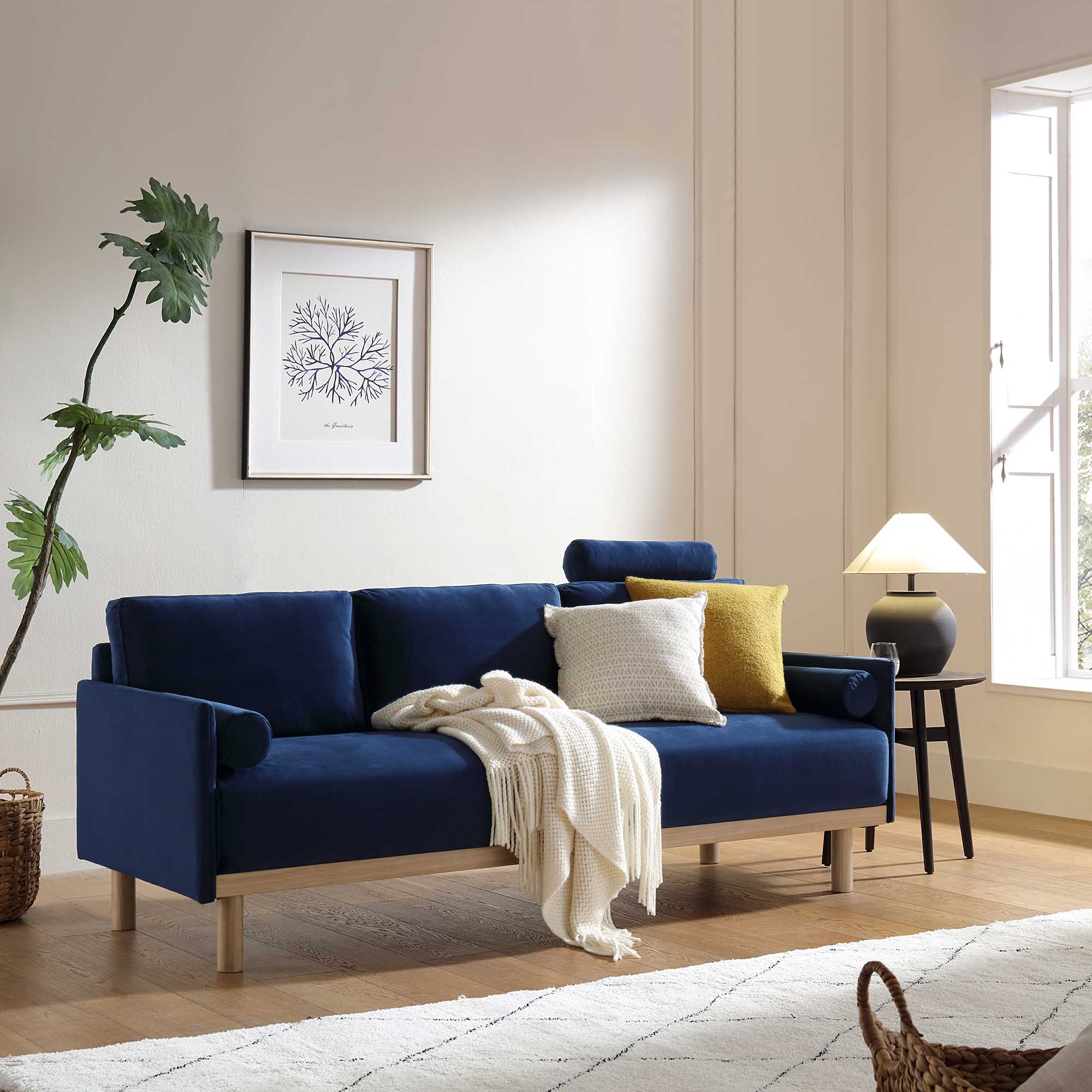 Timber Navy Blue Velvet Sofa, 3-Seater