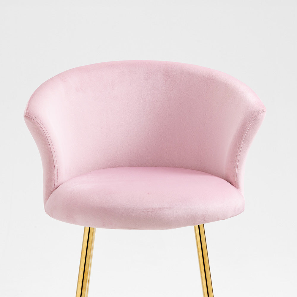 Kylie Set of 2 Pink Velvet Bar Stools